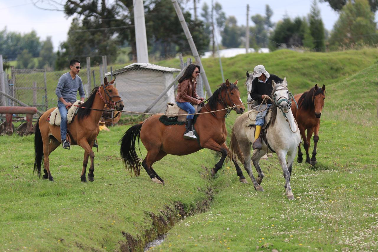 Hosteria Loma Larga Cayambe Luaran gambar