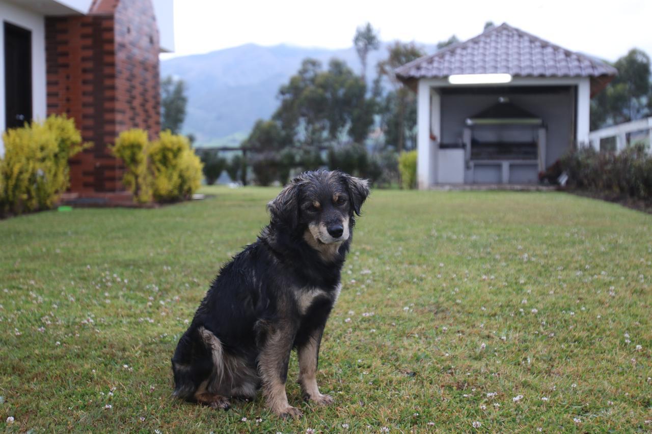 Hosteria Loma Larga Cayambe Luaran gambar